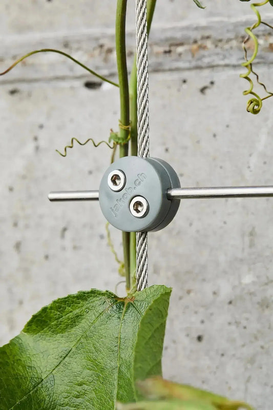 Greenkit 4 Ma boutique