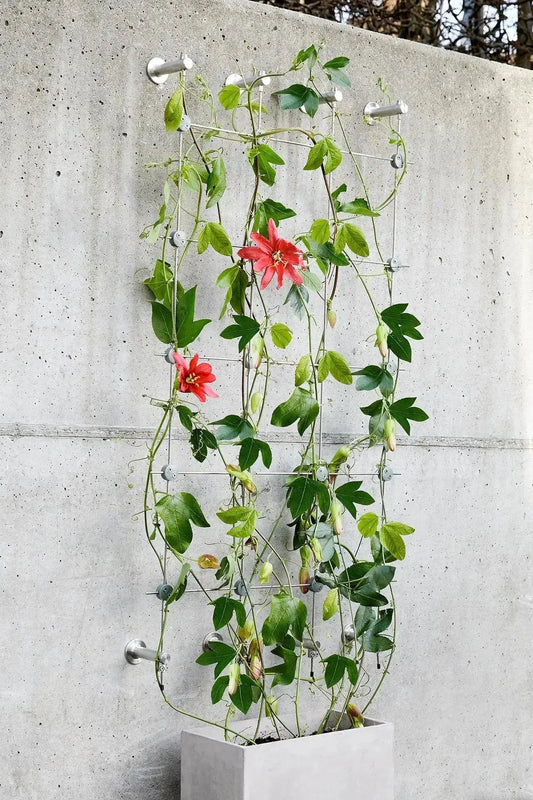 Greenkit 3 Ma boutique