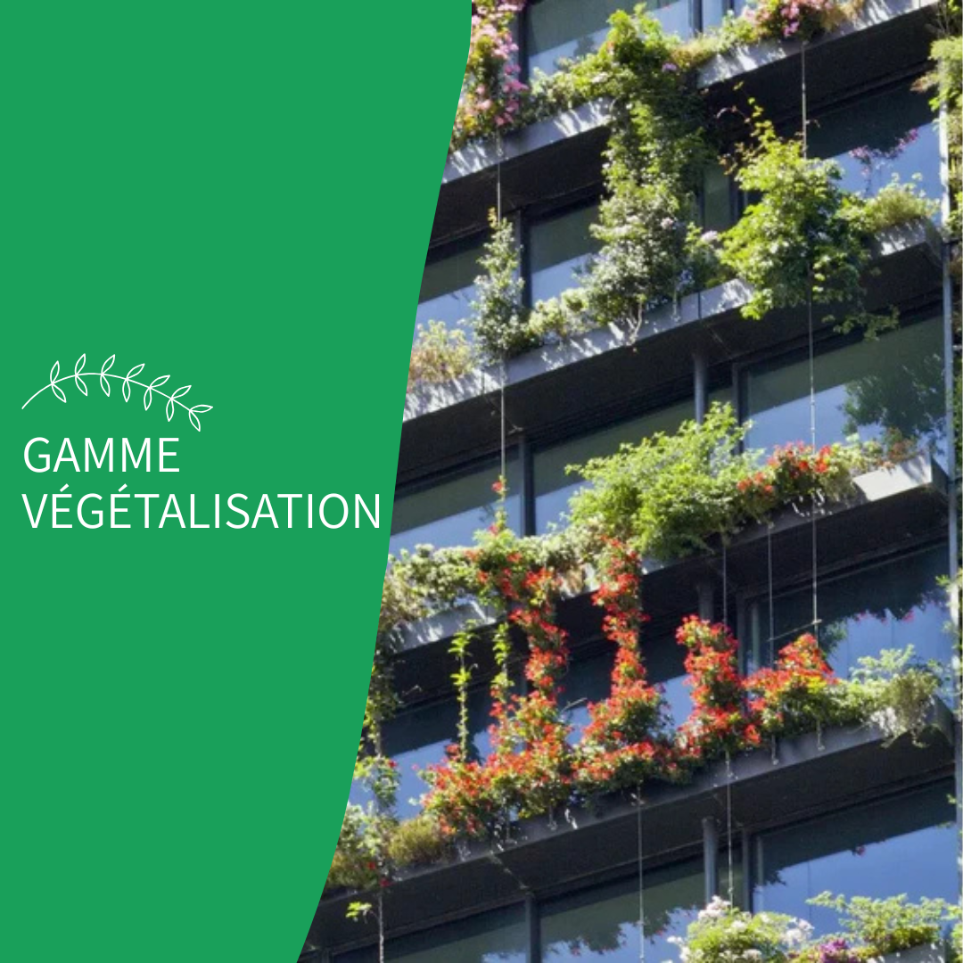 VÉGÉTALISATION