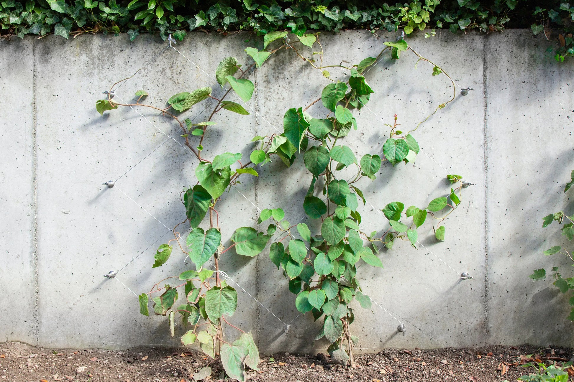 Greenkit Net Ma boutique